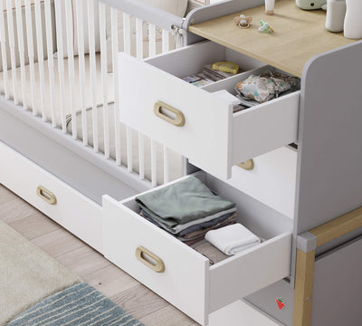 Baby Mino Dhomë e përzgjedhur