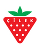 Cilek Kosovo